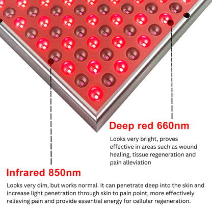 RadiaVita 225-LED Red & Near-Infrared Light Therapy Panel