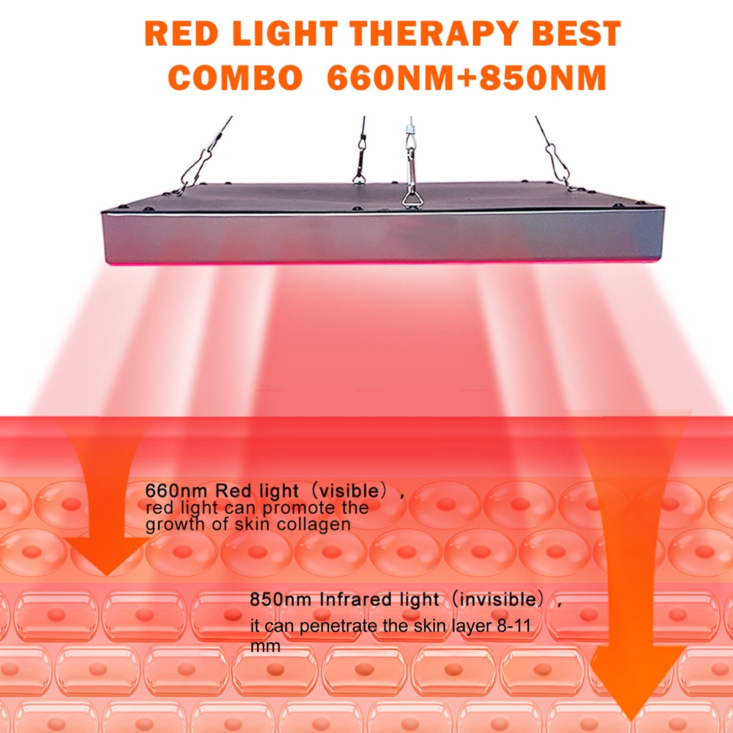 RadiaVita 225-LED Red & Near-Infrared Light Therapy Panel
